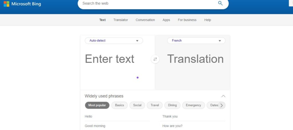 Bing website - accurate instant translator